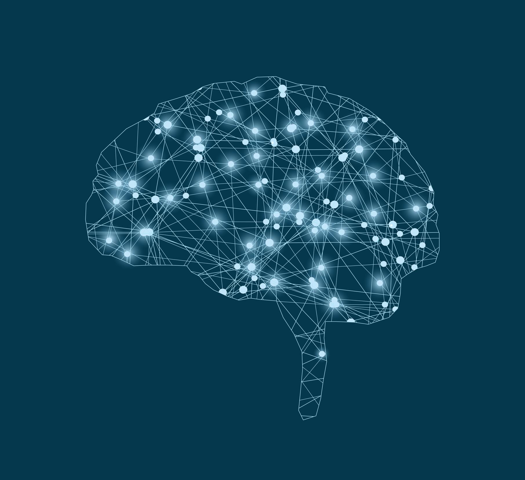A brain rendered as a network of connections.