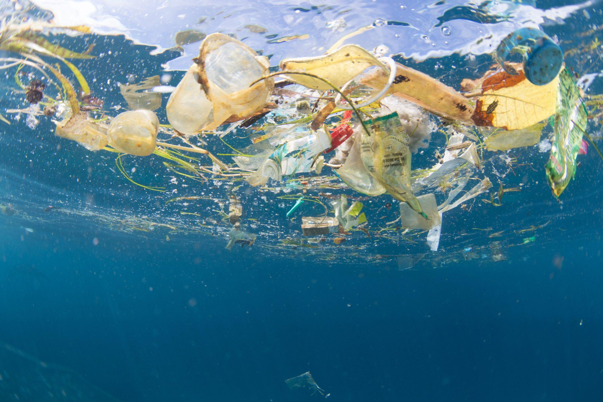 Plastic waste floating in the ocean.